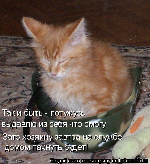 Так и быть - потужусь, выдавлю из себя что смогу. Зато хозяину завтра на службе домом пахнуть будет... Котоматрица: Так и быть - потужусь, выдавлю из себя что смогу. Зато хозяину завтра на службе домом пахнуть будет!