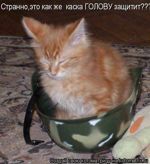 Странно,это как же каска ГОЛОВУ защитит???... Котоматрица: Странно,это как же каска ГОЛОВУ защитит???