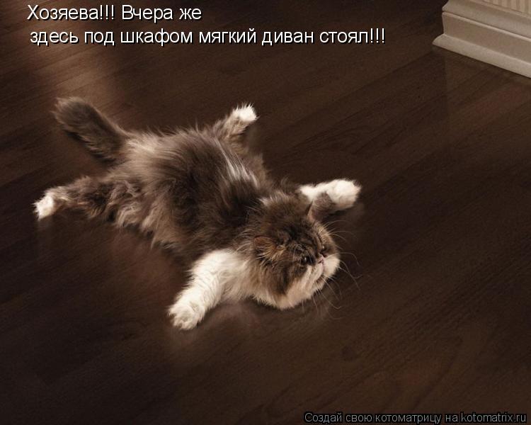 Котоматрица: Хозяева!!! Вчера же  здесь под шкафом мягкий диван стоял!!!
