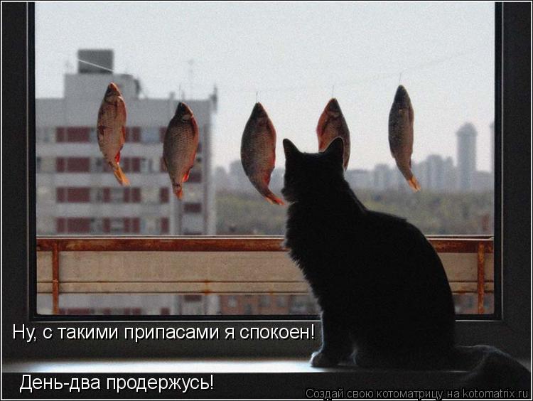 Ну, с такими припасами я спокоен! День-два продержусь!... Котоматрица: Ну, с такими припасами я спокоен! День-два продержусь!
