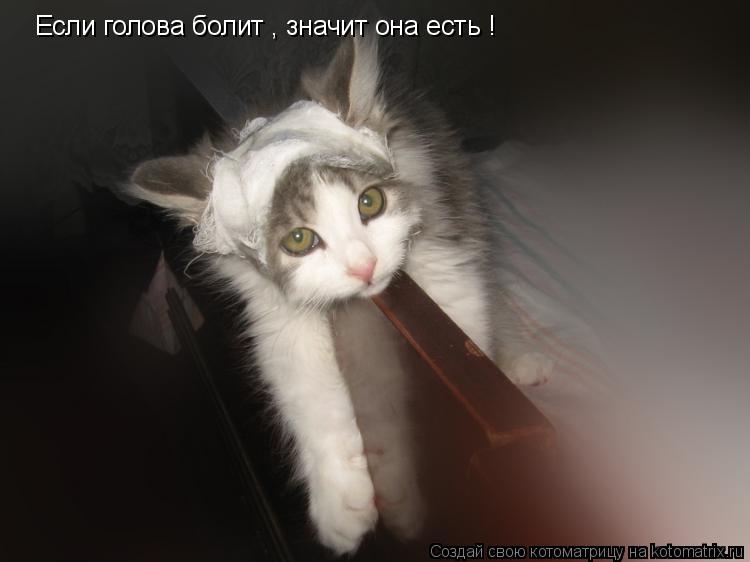 Если голова болит , значит она есть !... Котоматрица: Если голова болит , значит она есть !