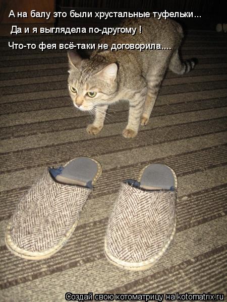 Котоматрица: А на балу это были хрустальные туфельки... Да и я выглядела по-другому !  Что-то фея всё-таки не договорила....