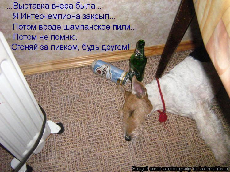 ...Выставка вчера была... Я Интерчемпиона закрыл... Потом вроде шампанское пили... Потом не помню. ... Котоматрица: ...Выставка вчера была... Я Интерчемпиона закрыл... Потом вроде шампанское пили... Потом не помню. Сгоняй за пивком, будь другом!