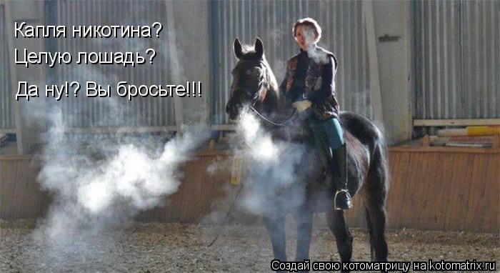 Капля никотина? Целую лошадь? Да ну!? Вы бросьте!!!... Котоматрица: Капля никотина? Целую лошадь? Да ну!? Вы бросьте!!!