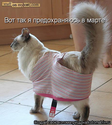 Вот так я предохраняюсь в марте... Котоматрица: Вот так я предохраняюсь в марте