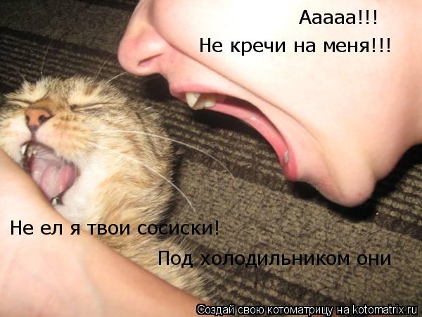 Ааааа!!! Не кречи на меня!!! Под холодильником они Не ел я твои сосиски!... Котоматрица: Ааааа!!! Не кречи на меня!!! Под холодильником они Не ел я твои сосиски!