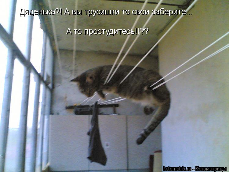 Котоматрица: Дяденька?! А вы трусишки то свои заберите... А то простудитесь!!??
