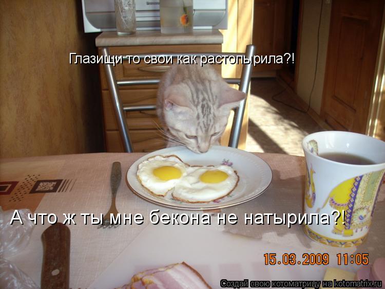 Котоматрица: Глазищи то свои как растопырила?! А что ж ты мне бекона не натырила?!