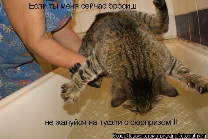 Котоматрица: Если ты меня сейчас бросиш не жалуйся на туфли с сюрпризом!!!