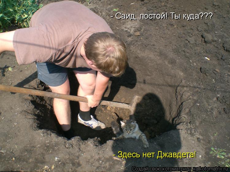 Котоматрица: - Саид, постой! Ты куда??? - Здесь нет Джавдета!