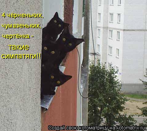 Котоматрица: чумазеньких,  чертёнка -  такие  4 чёрненьких, симпатяги!!