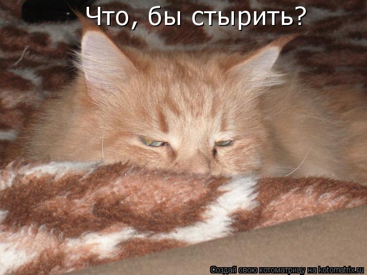 Котоматрица: Что, бы стырить?