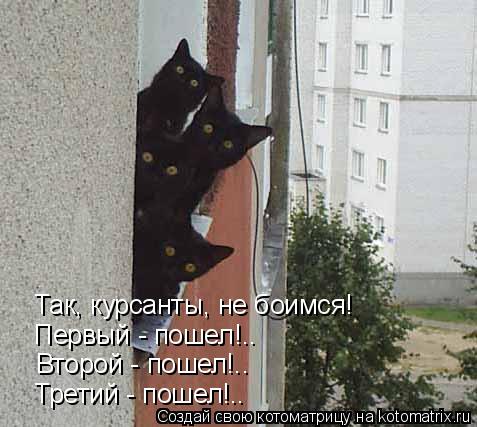 Котоматрица: Так, курсанты, не боимся! Первый - пошел!.. Второй - пошел!.. Третий - пошел!..
