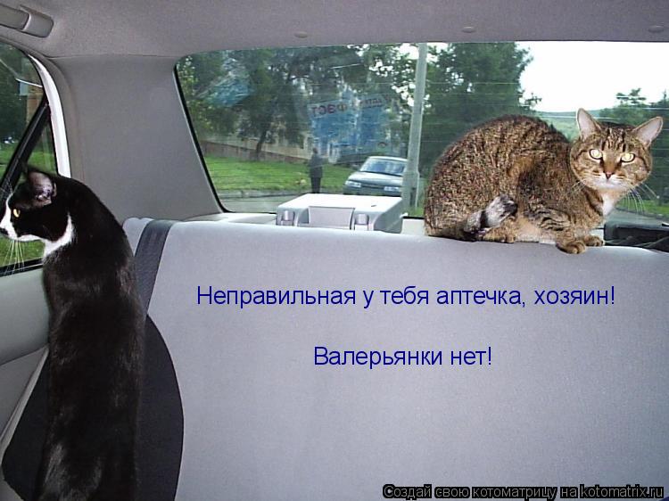 Котоматрица: Неправильная у тебя аптечка, хозяин!  Валерьянки нет!