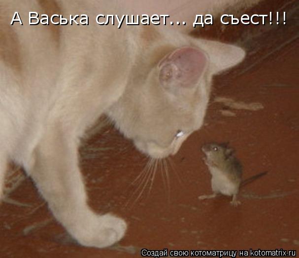Котоматрица: А Васька слушает... да съест!!!