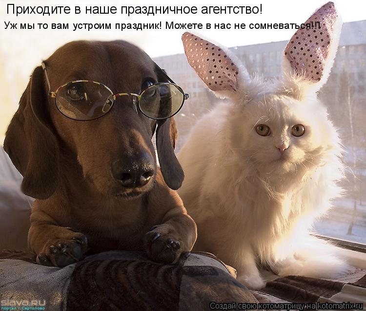 Котоматрица: Приходите в наше праздничное агентство! Уж мы то вам устроим праздник! Можете в нас не сомневаться!!!