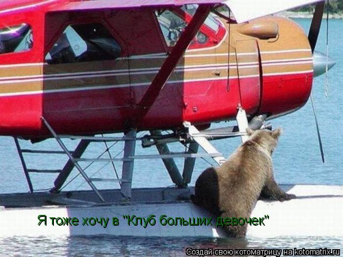 Котоматрица: Я тоже хочу в "Клуб больших девочек"