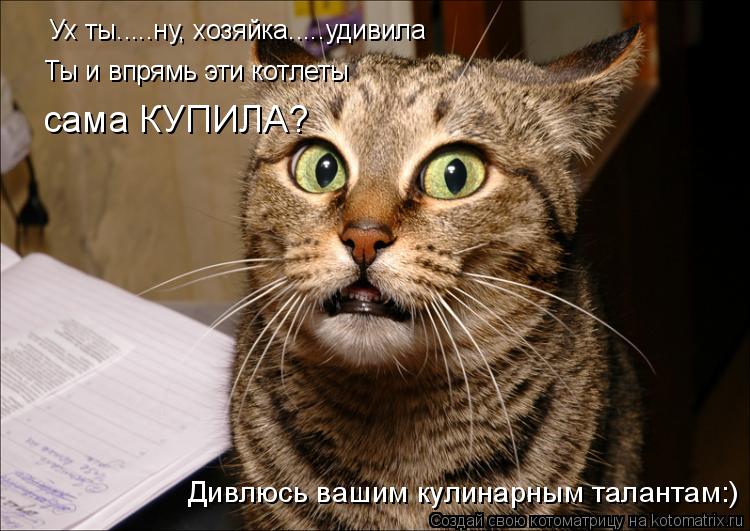 Котоматрица: Ух ты.....ну, хозяйка.....удивила Ты и впрямь эти котлеты сама КУПИЛА? Дивлюсь вашим кулинарным талантам:)