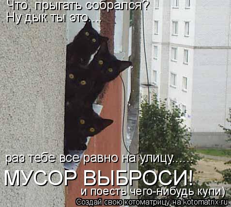 Котоматрица: Что, прыгать собрался? Ну дык ты это.... раз тебе все равно на улицу...... МУСОР ВЫБРОСИ! и поесть чего-нибудь купи)