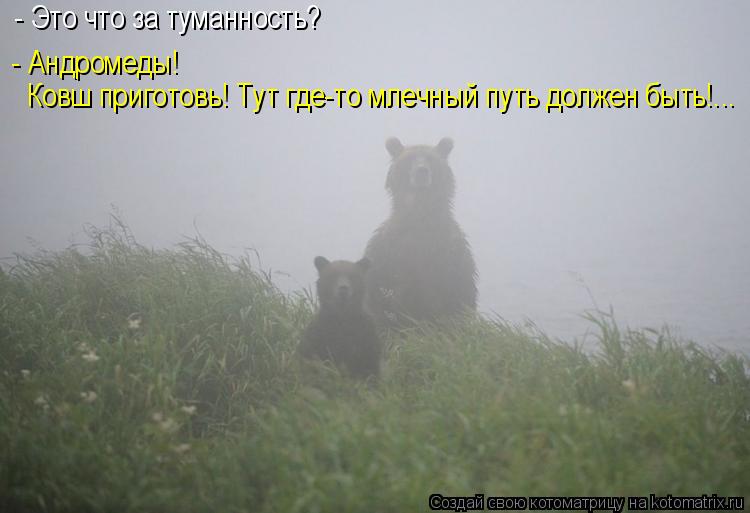 - Это что за туманность? - Андромеды! Ковш приготовь! Тут где-то млечный путь должен быть!...... Котоматрица: - Это что за туманность? - Андромеды! Ковш приготовь! Тут где-то млечный путь должен быть!...