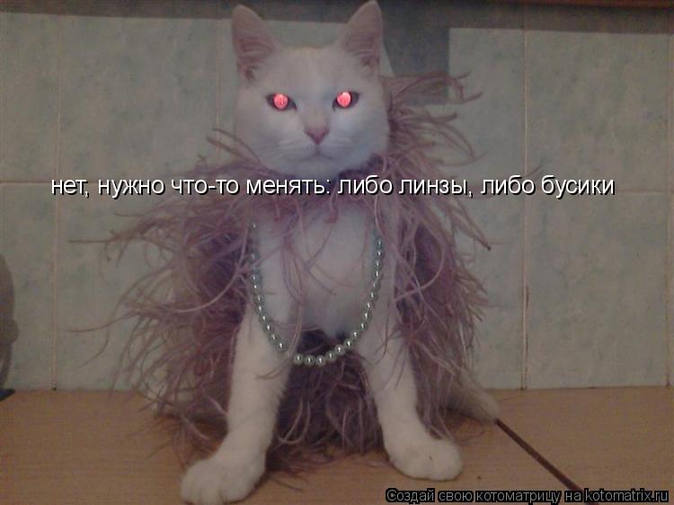 Котоматрица: нет, нужно что-то менять: либо линзы, либо бусики