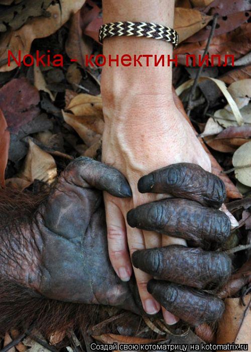 Котоматрица: Nokia - конектин пипл