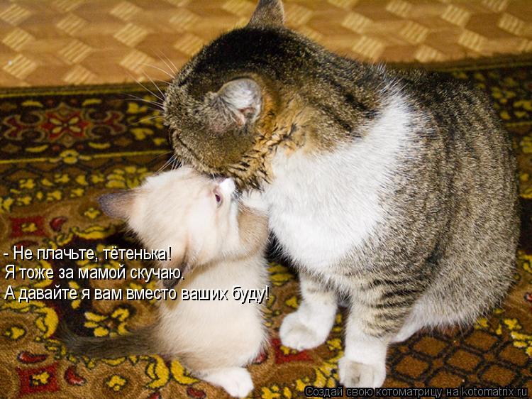 Котоматрица: - Не плачьте, тётенька! Я тоже за мамой скучаю. А давайте я вам вместо ваших буду!