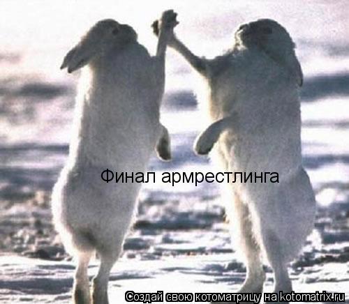 Котоматрица: Финал армрестлинга