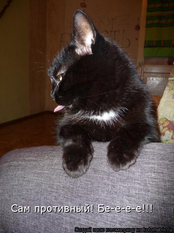 Котоматрица: Сам противный! Бе-е-е-е!!!