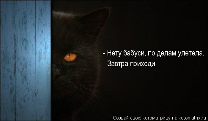 Котоматрица: - Нету бабуси, по делам улетела. Завтра приходи.
