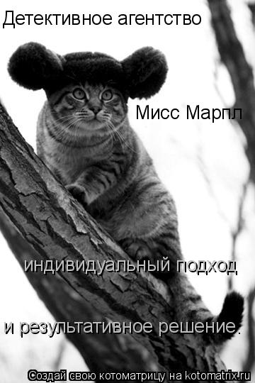 Котоматрица: Мисс Марпл  Детективное агентство индивидуальный подход и результативное решение.