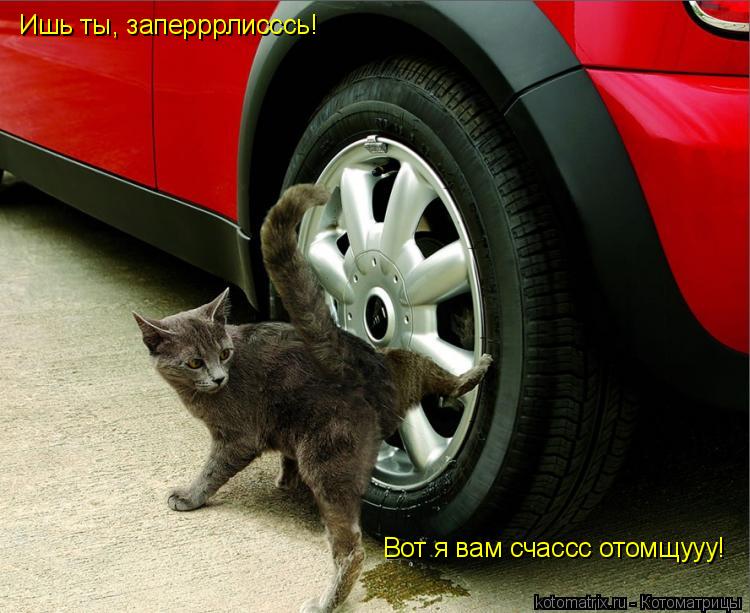 Котоматрица: Ишь ты, заперррлисссь! Вот я вам счассс отомщууу!