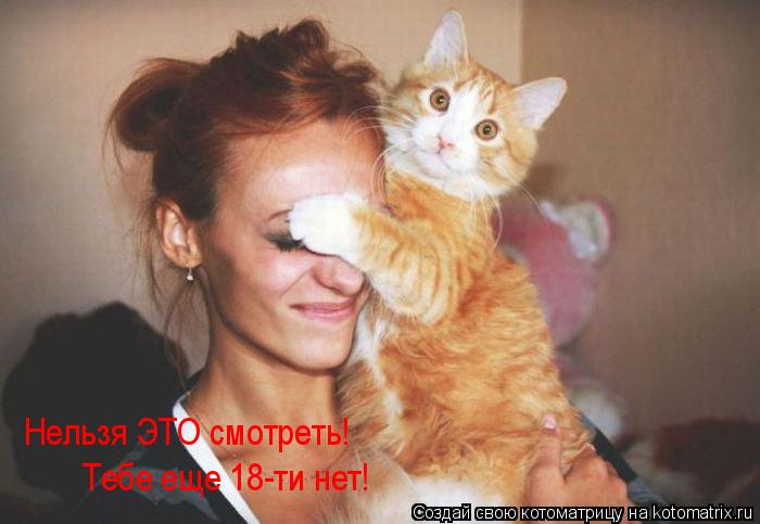 Котоматрица: Нельзя ЭТО смотреть! Тебе еще 18-ти нет!