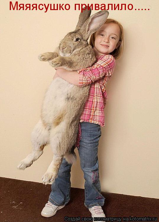 Котоматрица: Мяяясушко привалило.....