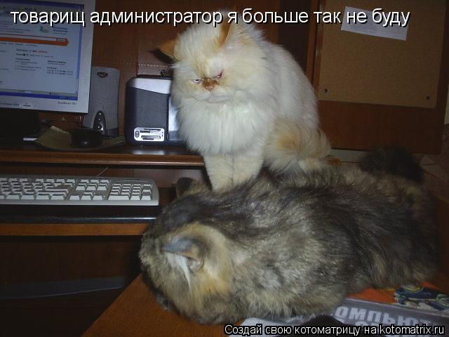 Котоматрица: товарищ администратор я больше так не буду