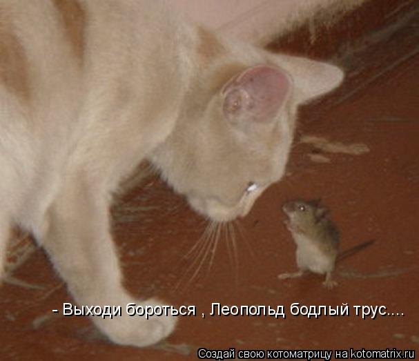 Котоматрица: - Выходи бороться , Леопольд бодлый трус....