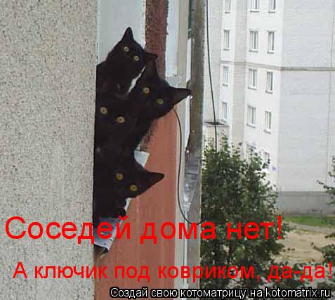 Котоматрица: Соседей дома нет! А ключик под ковриком, да-да!