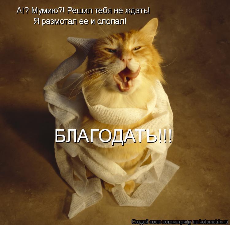 Котоматрица: А!? Мумию?! Решил тебя не ждать! Я размотал ее и слопал! Я размотал ее и слопал! БЛАГОДАТЬ!!!