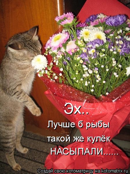 Котоматрица: Эх.. Лучше б рыбы такой же кулёк НАСЫПАЛИ......