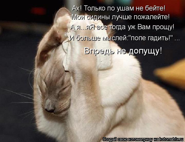 Котоматрица: Ах! Только по ушам не бейте! Мои сидины лучше пожалейте! А я...яЯ все тогда уж Вам прощу! И больше мыслей:"попе гадить!" ... Впредь не допущу!
