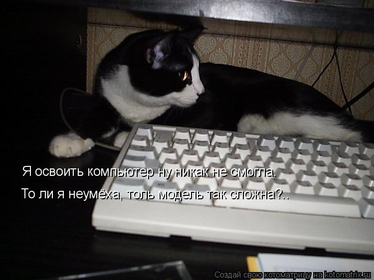 Котоматрица: Я освоить компьютер ну никак не смогла. То ли я неумёха, толь модель так сложна?..