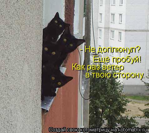 Котоматрица: - Не доплюнул? Ещё пробуй! Как раз ветер в твою сторону.