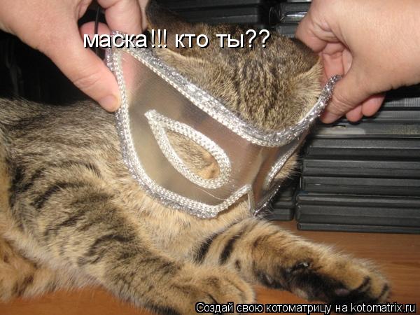 Котоматрица: маска!!! кто ты??