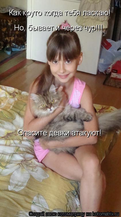 Котоматрица: Как круто когда тебя ласкаю! Но, бывает и через чур!!! Спасите девки атакуют!