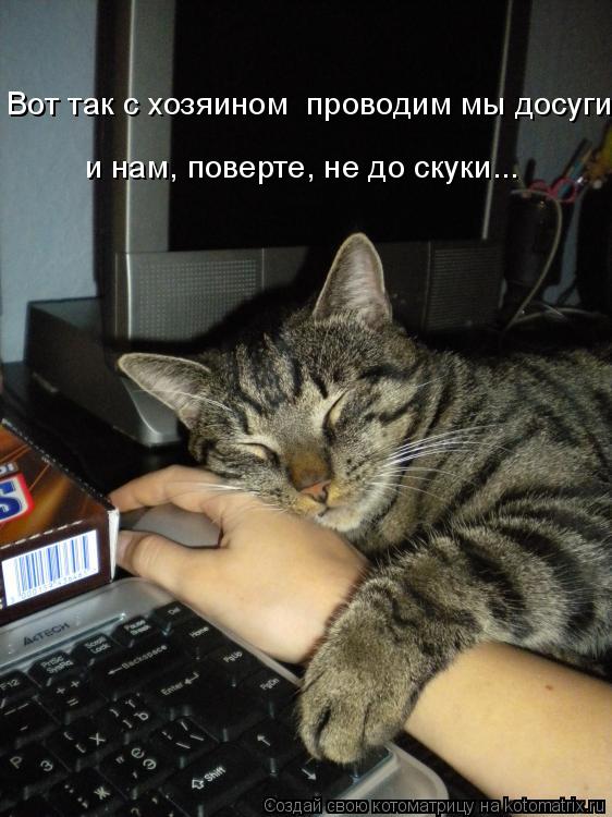 Котоматрица: Вот так с хозяином  проводим мы досуги и нам, поверте, не до скуки...