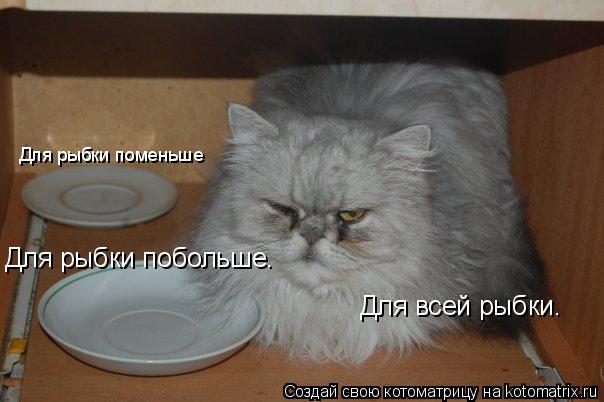 Котоматрица: Для рыбки поменьше Для рыбки побольше. Для всей рыбки.