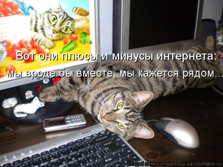 Котоматрица: Вот они плюсы и минусы интернета: мы вроде бы вместе, мы кажется рядом...