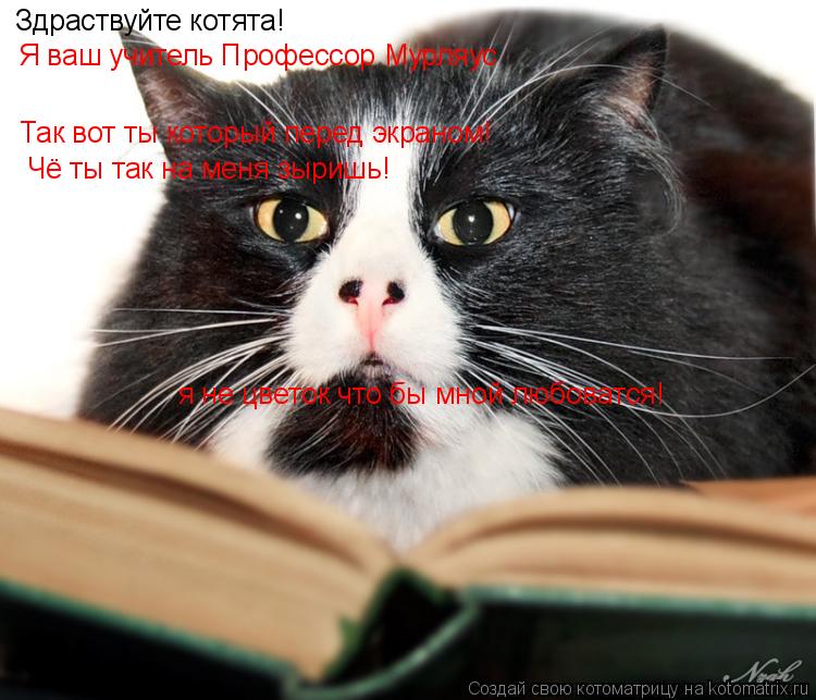 Котоматрица: Здраствуйте котята! Я ваш учитель Профессор Мурляус Так вот ты который перед экраном! Чё ты так на меня зыришь! я не цветок что бы мной любов