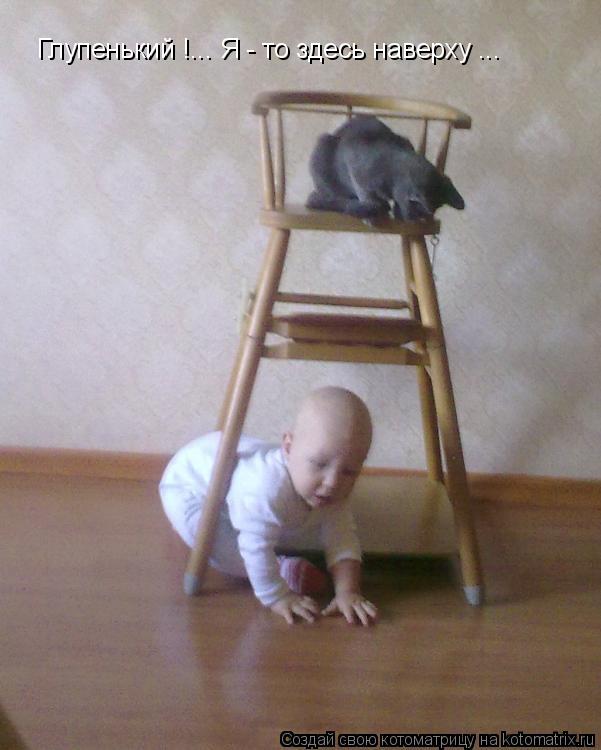 Котоматрица: Глупенький !... Я - то здесь наверху ...