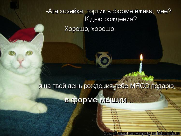 Котоматрица: -Ага хозяйка, тортик в форме ёжика, мне?  К дню рождения? Хорошо, хорошо,  я на твой день рождения тебе МЯСО подарю,  в форме мышки...